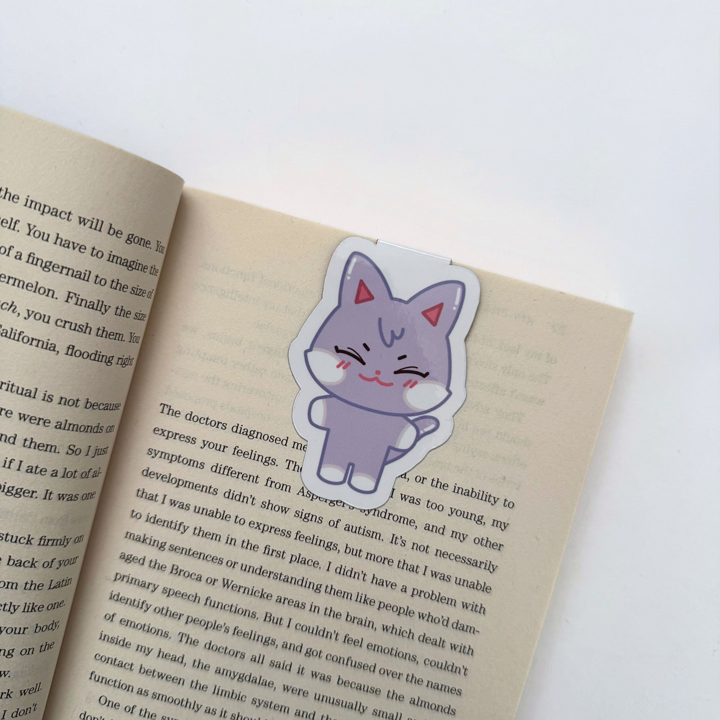 Aniteez Magnetic Bookmark