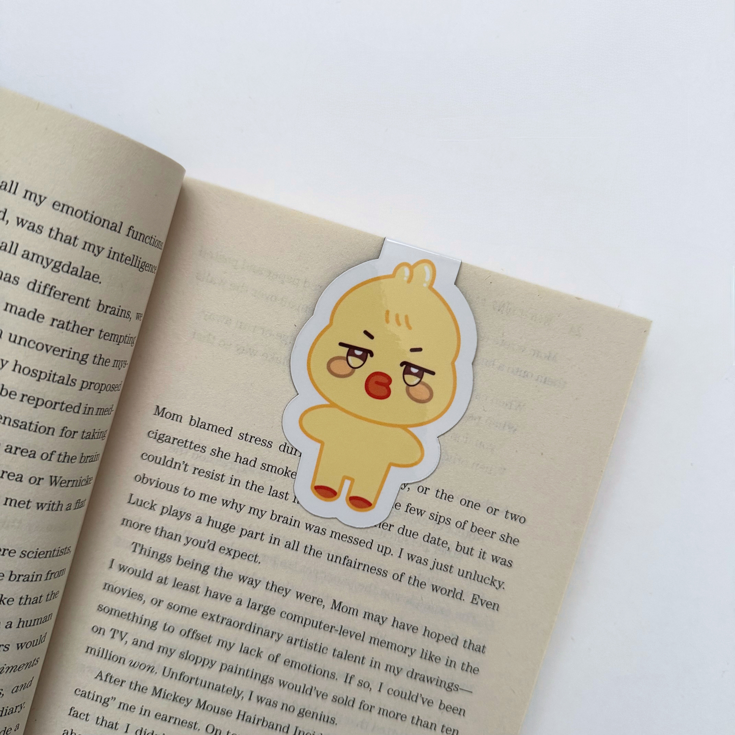 Aniteez Magnetic Bookmark