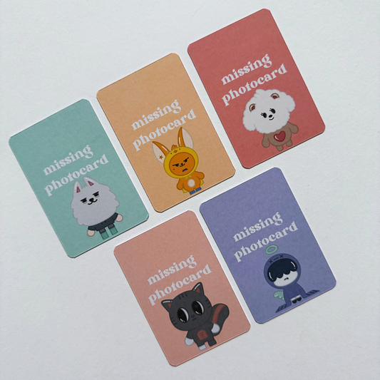 Ppulbatu Missing Photocard Binder Fillers (10 Pack)